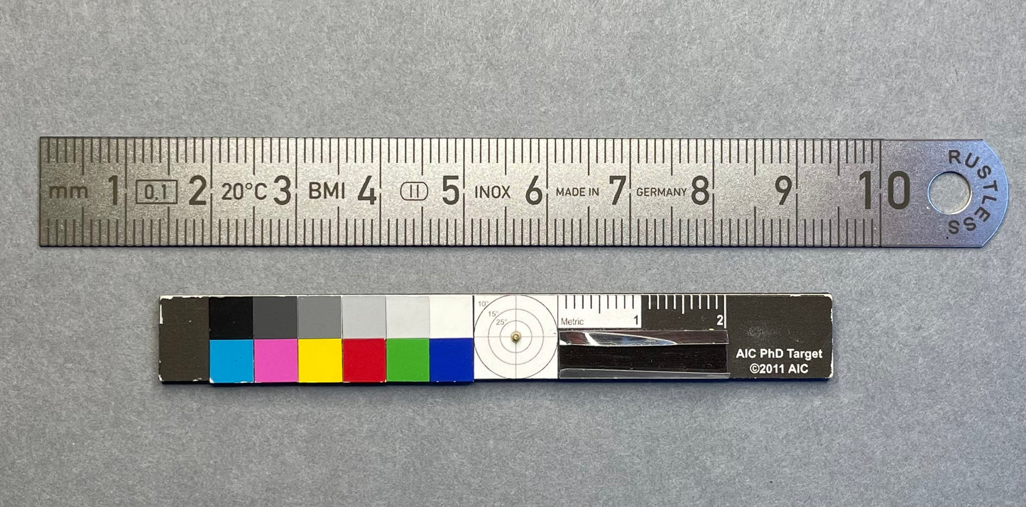 Flexible Ruler