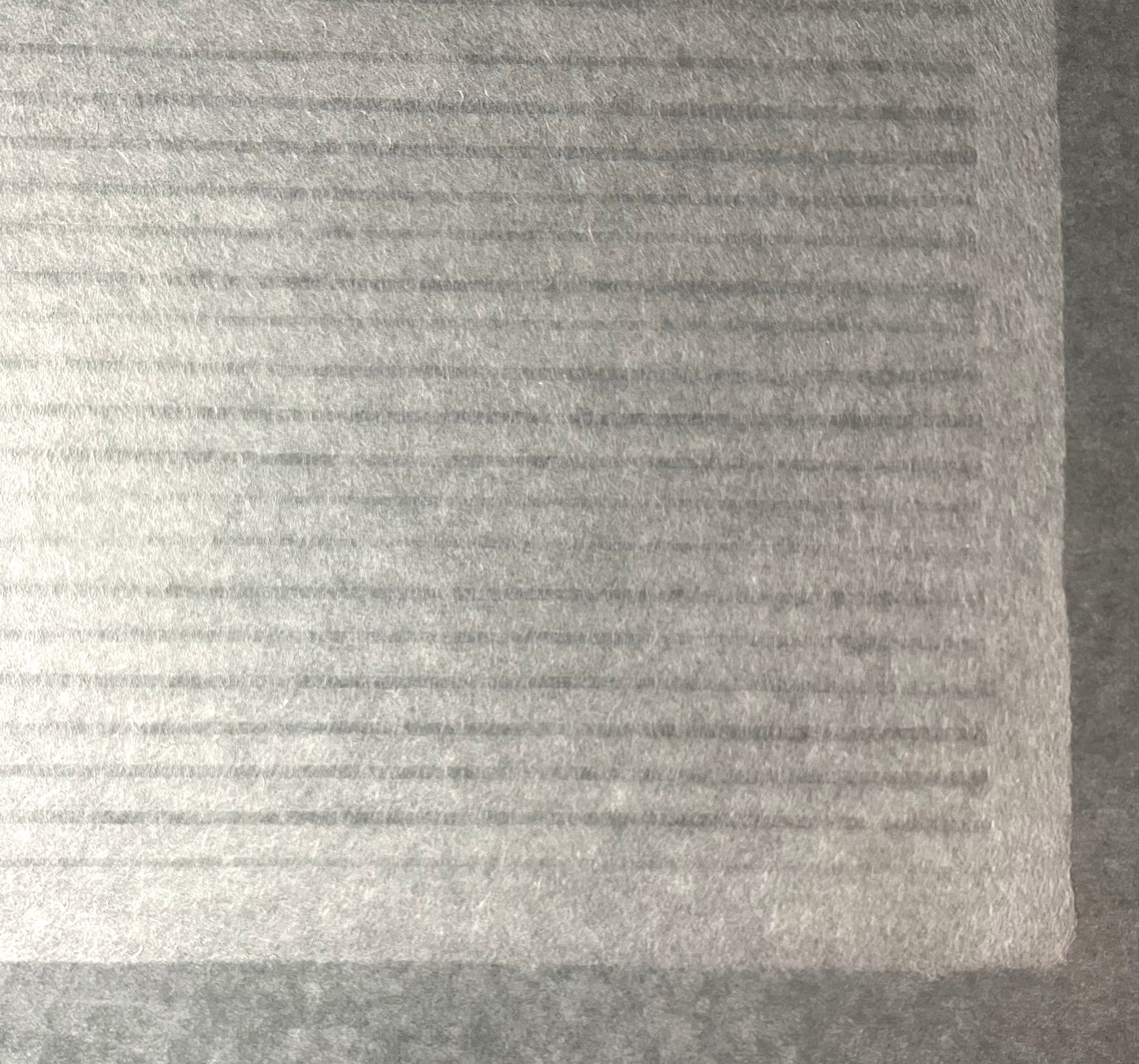 Berlin Tissue Strips - Sheet
