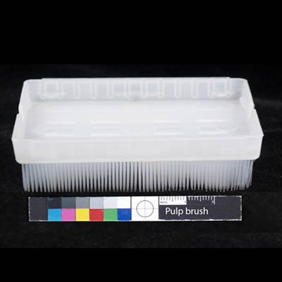 Conservation Materials - Pulp Brush