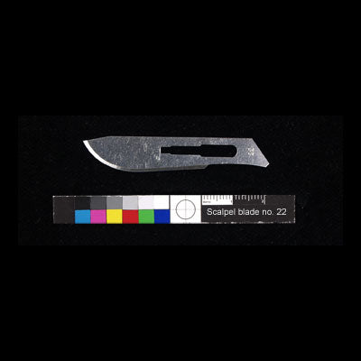 Scalpel Blades NO. 22 - Box of 100