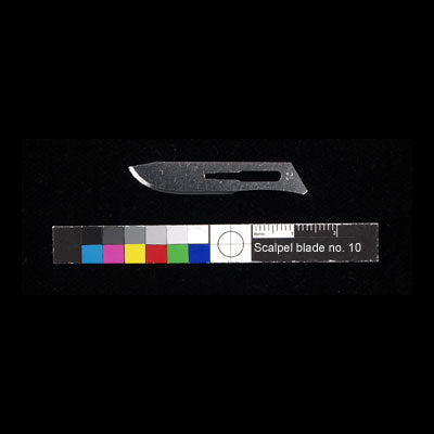 Scapel Blades NO. 10 Box of 100